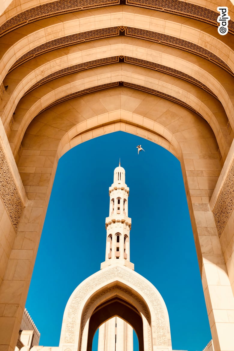 مصور يوثق مساجد خلابة ومليئة بالسكينة.. في عالم "يسوده الإسلاموفوبيا" مصور يوثق مساجد خلابة ومليئة بالسكينة.. في عالم "يسوده الإسلاموفوبيا"