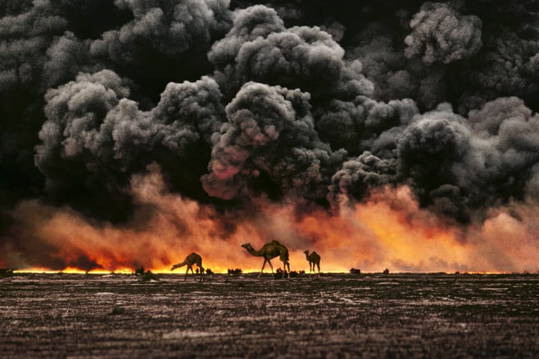 من الكويت إلى كمبوديا.. مصور يوثق العلاقة بين الإنسان والحيوان من الكويت إلى كمبوديا.. مصور يوثق العلاقة بين الإنسان والحيوان