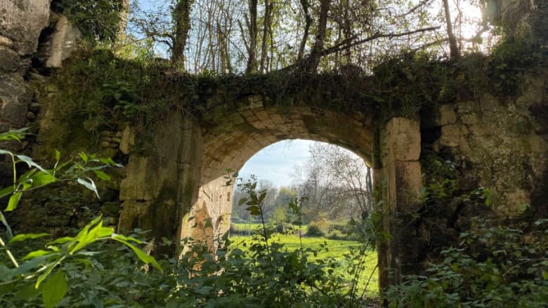 قلعة Château de Vibrac في فرنسا قلعة Château de Vibrac في فرنسا