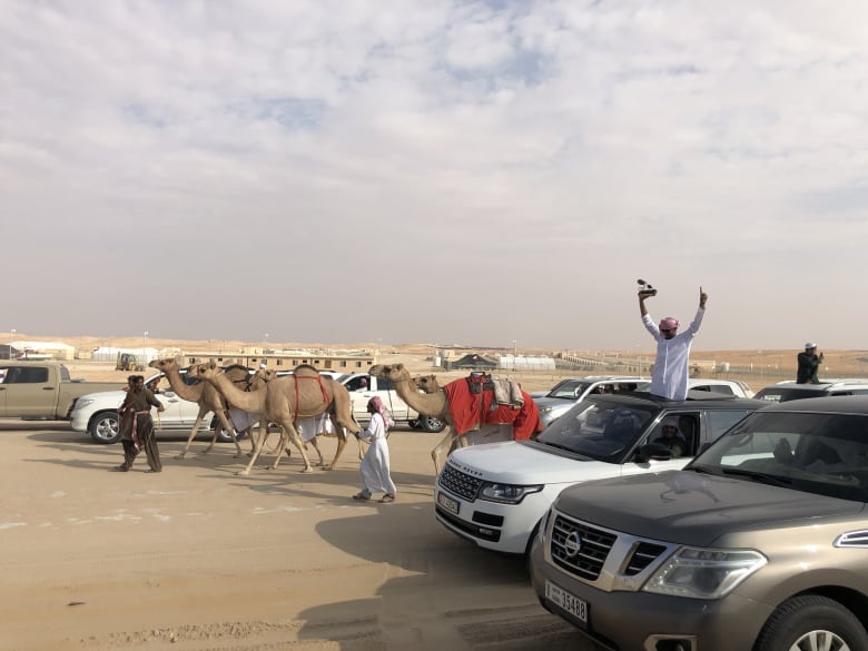 مهرجان الظفرة في أبوظبي مهرجان الظفرة في أبوظبي