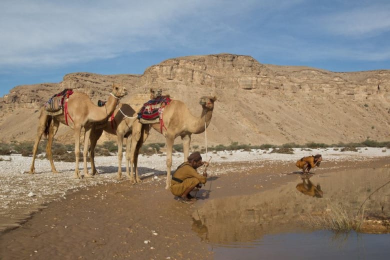 رحلة استثنائية عبر صحراء الربع الخالي رحلة استثنائية عبر صحراء الربع الخالي