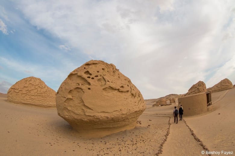 وادي الحيتان وادي الحيتان