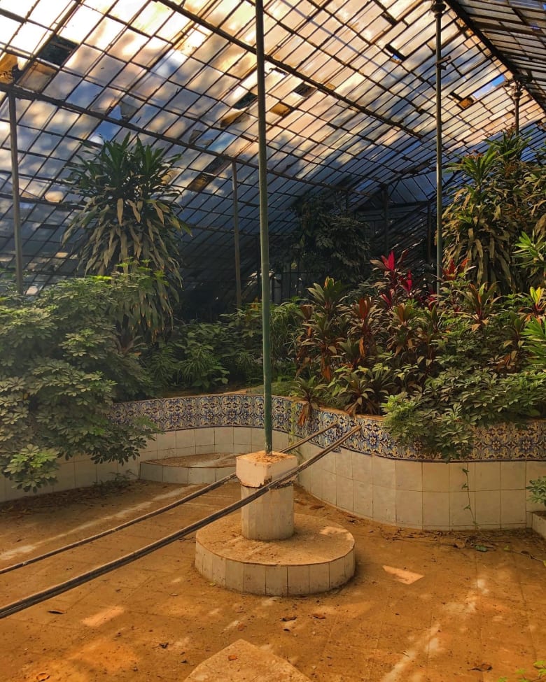 حديقة الزهرية حديقة الزهرية
