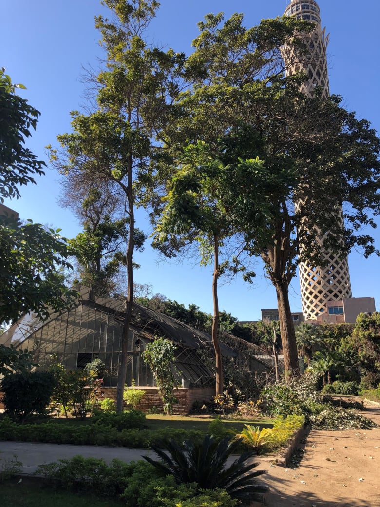 حديقة الزهرية حديقة الزهرية