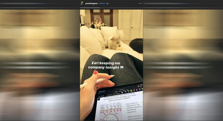 ماذا تفعل ابنة بيل غيتس بعد إعلان زواجها من المصري نايل نصار؟ ماذا تفعل ابنة بيل غيتس بعد إعلان زواجها من المصري نايل نصار؟