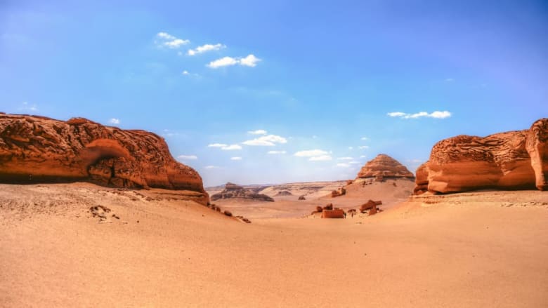 وادي الحيتان في مصر وادي الحيتان في مصر
