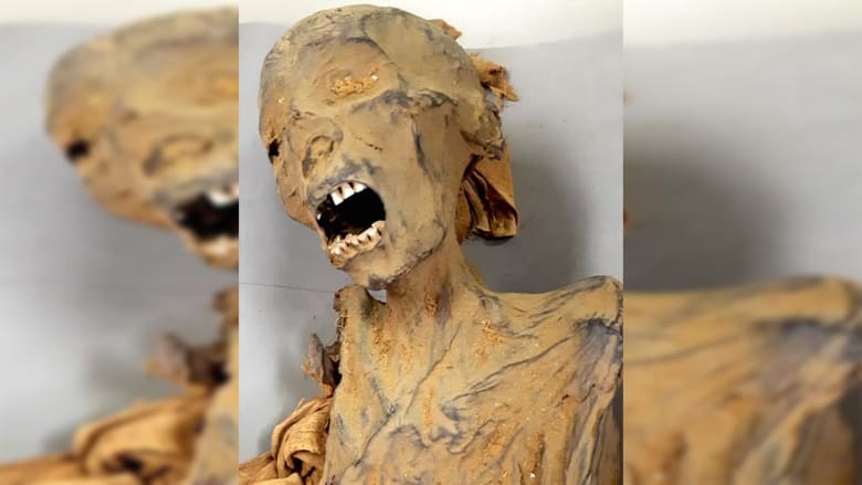 تعود لنحو 3 آلاف عام..كشف لغز "مومياء المرأة الصارخة" تعود لنحو 3 آلاف عام..كشف لغز "مومياء المرأة الصارخة"