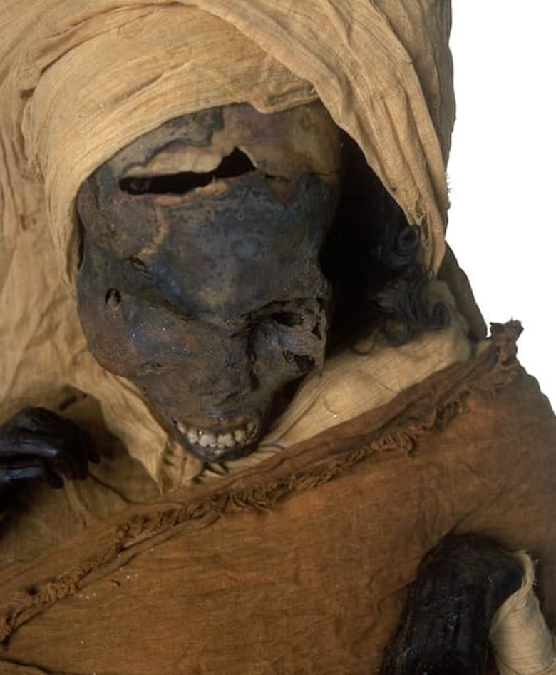 الأشعة المقطعية تكشف لغز وفاة "الفرعون الشجاع"