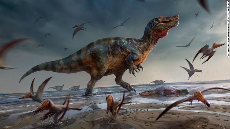 عاش قبل 125 مليون عام..اكتشاف بقايا تعود لأحد أكبر الديناصورات المفترسة في أوروبا