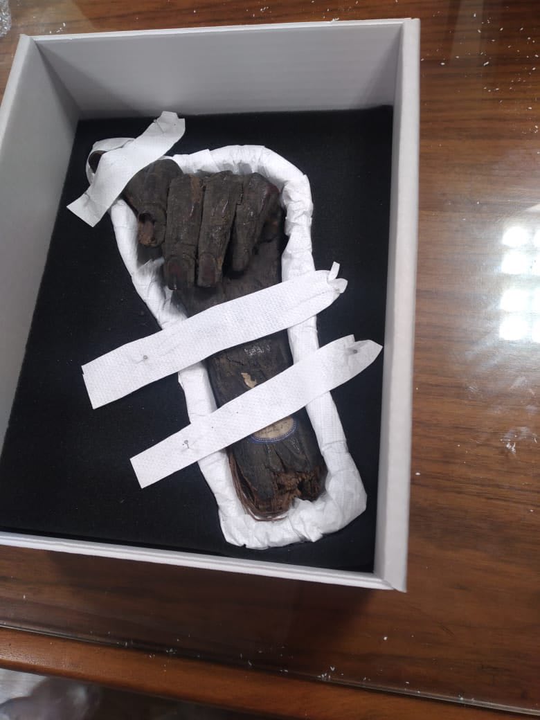 بينها جمجمة ويد مومياء.. مصر تستعيد 13 قطعة أثرية من بريطانيا وألمانيا