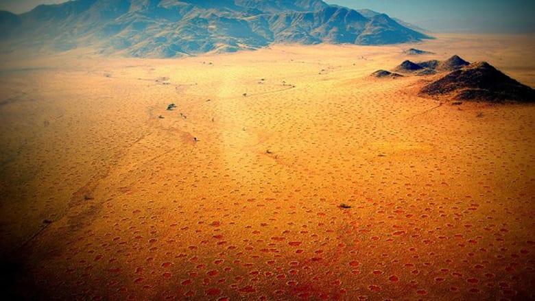 من يشكل "دوائر الجن بصحراء ناميبيا؟ من يشكل "دوائر الجن بصحراء ناميبيا؟