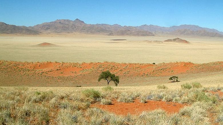 من يشكل "دوائر الجن بصحراء ناميبيا؟ من يشكل "دوائر الجن بصحراء ناميبيا؟
