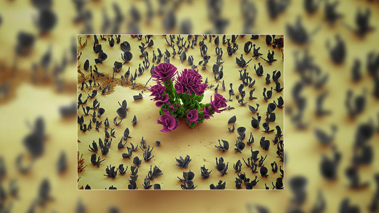 إنها ليست زهوراً.. بل تحف ميكروسكوبية بتفاعلات كيماوية إنها ليست زهوراً.. بل تحف ميكروسكوبية بتفاعلات كيماوية