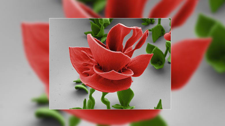 إنها ليست زهوراً.. بل تحف ميكروسكوبية بتفاعلات كيماوية إنها ليست زهوراً.. بل تحف ميكروسكوبية بتفاعلات كيماوية