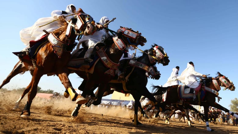 بالصور..الخيول عروس حفلات الزفاف في ليبيا بالصور..الخيول عروس حفلات الزفاف في ليبيا