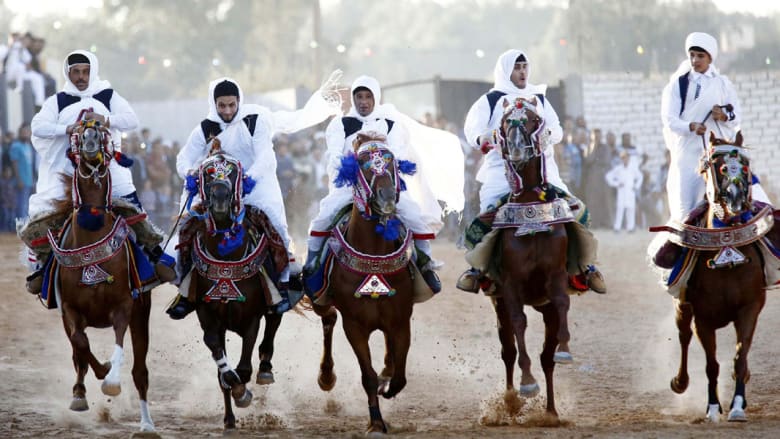 بالصور..الخيول عروس حفلات الزفاف في ليبيا بالصور..الخيول عروس حفلات الزفاف في ليبيا