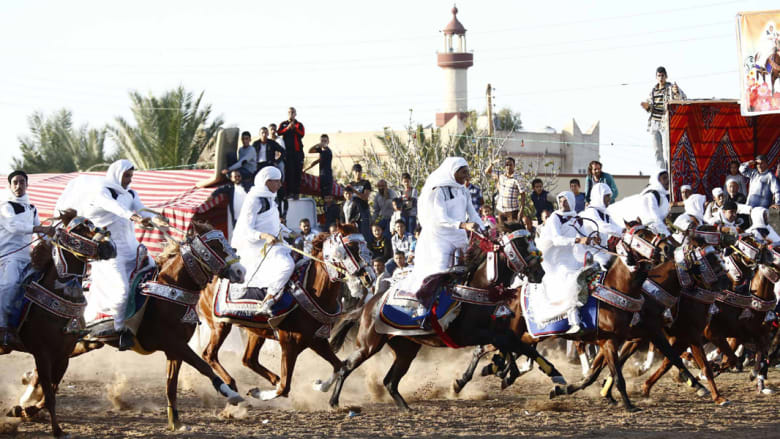 بالصور..الخيول عروس حفلات الزفاف في ليبيا بالصور..الخيول عروس حفلات الزفاف في ليبيا