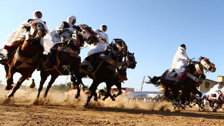 بالصور..الخيول عروس حفلات الزفاف في ليبيا بالصور..الخيول عروس حفلات الزفاف في ليبيا