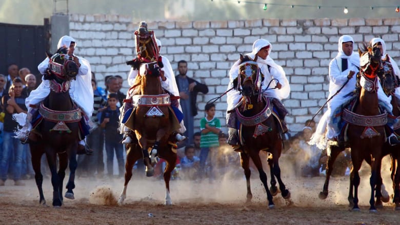 بالصور..الخيول عروس حفلات الزفاف في ليبيا بالصور..الخيول عروس حفلات الزفاف في ليبيا