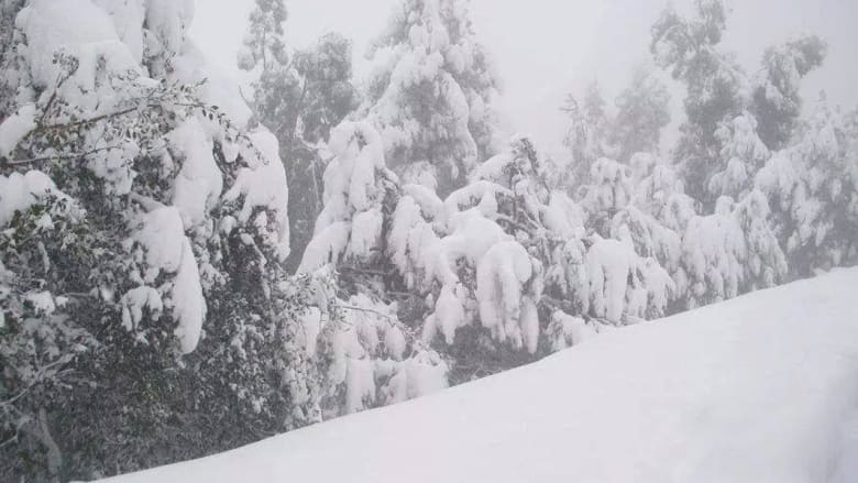 بالصور.. الثلوج تحوّل براري غرب تونس وشرق الجزائر إلى رداء أبيض بالصور.. الثلوج تحوّل براري غرب تونس وشرق الجزائر إلى رداء أبيض