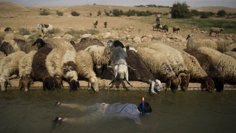 الأسبوع في صور الأسبوع في صور
