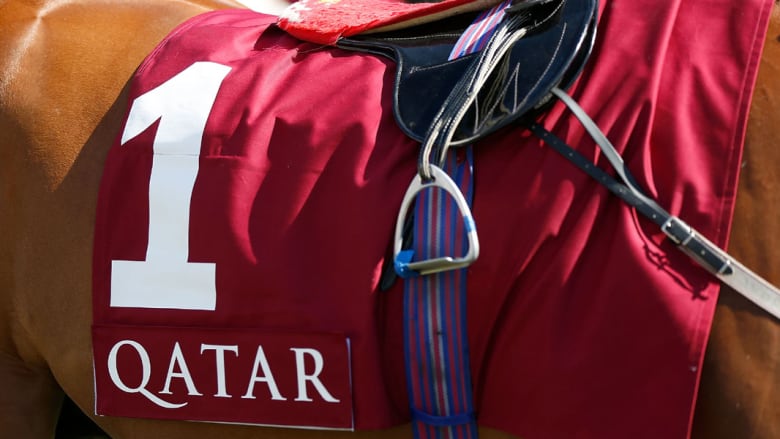 النساء يتزين بالألوان والحرير في مهرجان قطر غوودوود لسباق الخيل النساء يتزين بالألوان والحرير في مهرجان قطر غوودوود لسباق الخيل