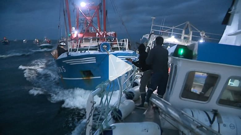 180829141732-scallop-boats-1.jpg 180829141732-scallop-boats-1.jpg