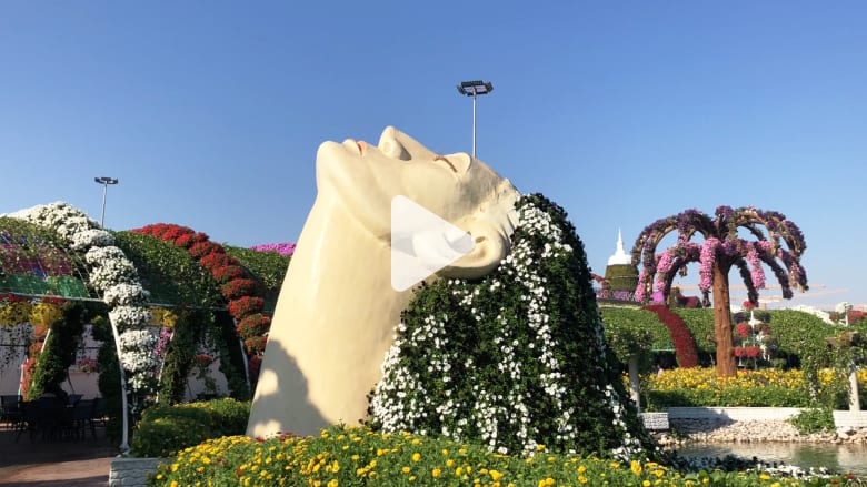 Nada-Miracle-garden.mp4 Nada-Miracle-garden.mp4