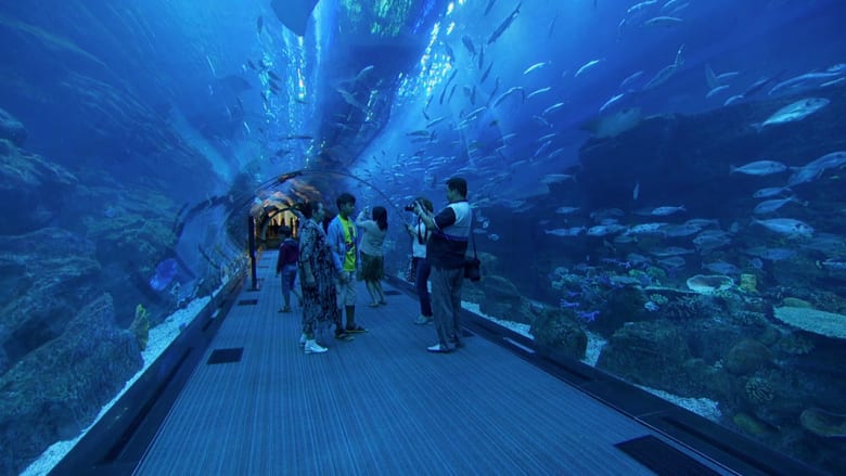 دبي.. من داخل أكبر حوض للأسماك في العالم