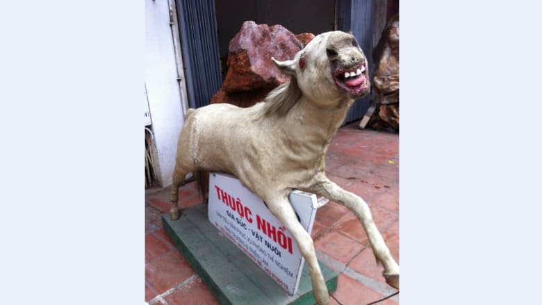 ูู ุงูุญููุงูุงุช ุงูู
ุญูุทุฉ.. ู
ู
ุชุน ุฃู
ู
ุฎููุ ุงููุฑุงุฑ ูุนูุฏ ููู
ูู ุงูุญููุงูุงุช ุงูู
ุญูุทุฉ.. ู
ู
ุชุน ุฃู
ู
ุฎููุ ุงููุฑุงุฑ ูุนูุฏ ููู