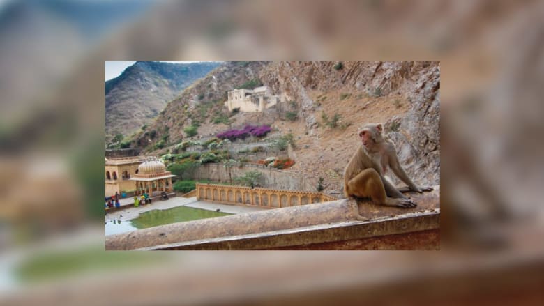 كيف تتألق أمنا الطبيعة بأبهى صورها؟ ألق نظرة على 15 مكاناً ساحراً كيف تتألق أمنا الطبيعة بأبهى صورها؟ ألق نظرة على 15 مكاناً ساحراً