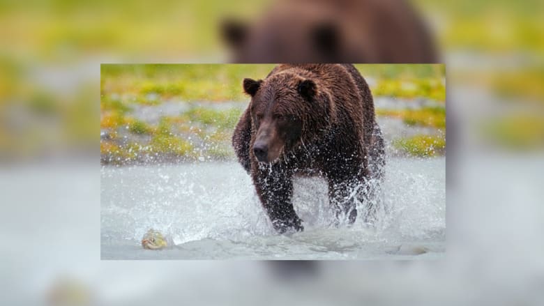 كيف تتألق أمنا الطبيعة بأبهى صورها؟ ألق نظرة على 15 مكاناً ساحراً كيف تتألق أمنا الطبيعة بأبهى صورها؟ ألق نظرة على 15 مكاناً ساحراً