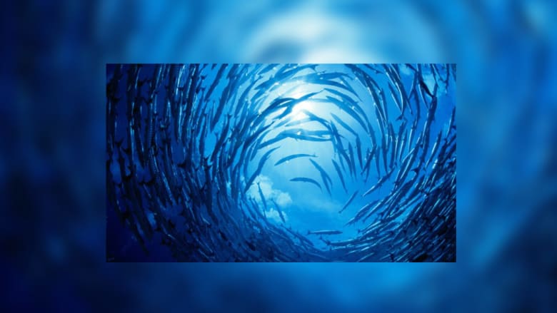 كيف تتألق أمنا الطبيعة بأبهى صورها؟ ألق نظرة على 15 مكاناً ساحراً كيف تتألق أمنا الطبيعة بأبهى صورها؟ ألق نظرة على 15 مكاناً ساحراً