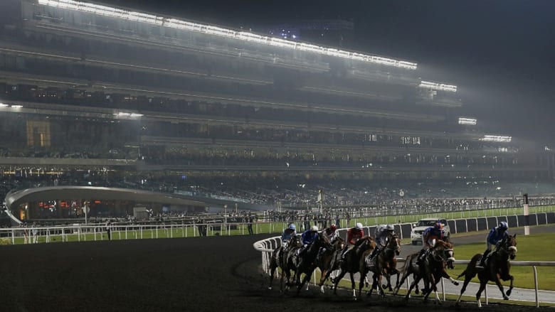 مشروع المليار دولار.. حلبة ميدان تستقبل أغلى سباقات الخيول بالعالم مشروع المليار دولار.. حلبة ميدان تستقبل أغلى سباقات الخيول بالعالم