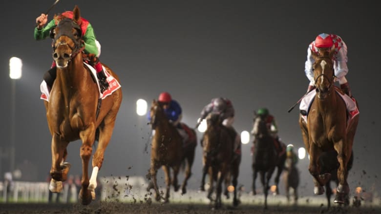مشروع المليار دولار.. حلبة ميدان تستقبل أغلى سباقات الخيول بالعالم مشروع المليار دولار.. حلبة ميدان تستقبل أغلى سباقات الخيول بالعالم