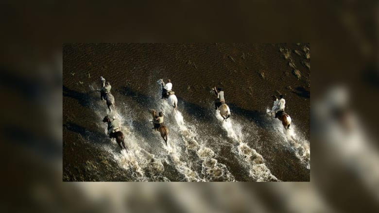 أجمل مواقع رحلات الخيول في العالم أجمل مواقع رحلات الخيول في العالم