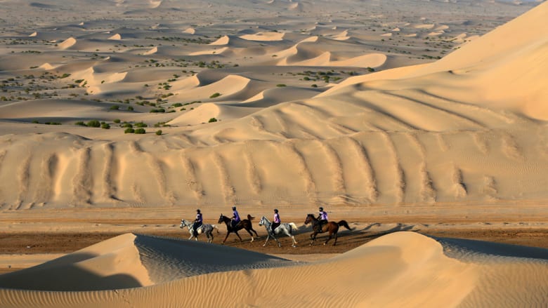 بالصور..كيف تتنافس الخيول عبر الكثبان الرملية في الصحراء بالصور..كيف تتنافس الخيول عبر الكثبان الرملية في الصحراء
