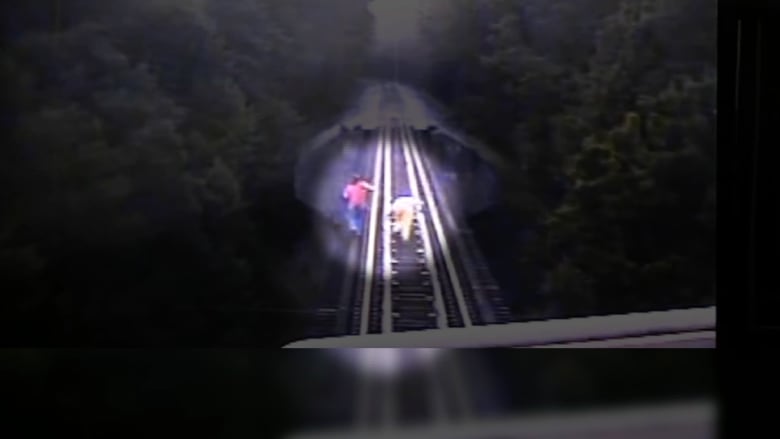 بالفيديو: سيدتان تنجوان بأعجوبة من الدهس بالقطار