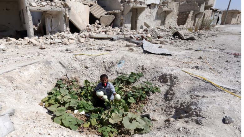حلب، سوريا -- سوري يجمع الخضار زرعت في مكان سقوط برميل متفجر قرب مدينة حلب شمال سوريا 3 سبتمبر / أيلول 2014 حلب، سوريا -- سوري يجمع الخضار زرعت في مكان سقوط برميل متفجر قرب مدينة حلب شمال سوريا 3 سبتمبر / أيلول 2014