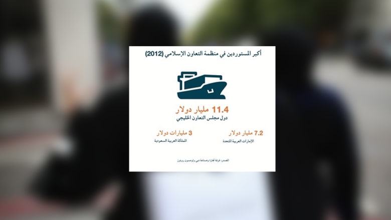 تقرير: 224 مليار دولار تُنفق على الملابس بالدول الإسلامية.. تركيا وإندونيسيا ومصر والسعودية بالطليعة تقرير: 224 مليار دولار تُنفق على الملابس بالدول الإسلامية.. تركيا وإندونيسيا ومصر والسعودية بالطليعة