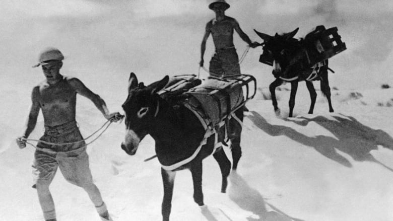 75 سنة على بداية الحرب العالمية الثانية.. صور لا تنسى من مصر وليبيا وتونس والجزائر والمغرب 75 سنة على بداية الحرب العالمية الثانية.. صور لا تنسى من مصر وليبيا وتونس والجزائر والمغرب