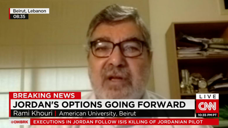 رامي خوري لـ CNN: العرب يريدون هزم داعش لكن ليس تحت راية أمريكية