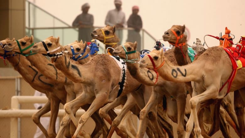 أجمل لقطات الرياضة لهذا الأسبوع أجمل لقطات الرياضة لهذا الأسبوع