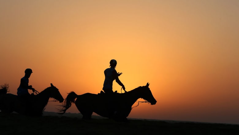 الإماراتيون والخيول.. قصة عشق لا تنتهي الإماراتيون والخيول.. قصة عشق لا تنتهي