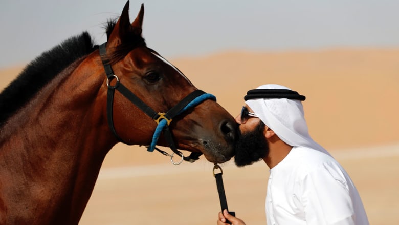 الإماراتيون والخيول.. قصة عشق لا تنتهي الإماراتيون والخيول.. قصة عشق لا تنتهي