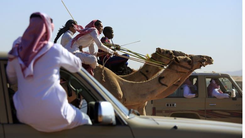 سباق الهجن.. تقليد وفرحة في العيد سباق الهجن.. تقليد وفرحة في العيد