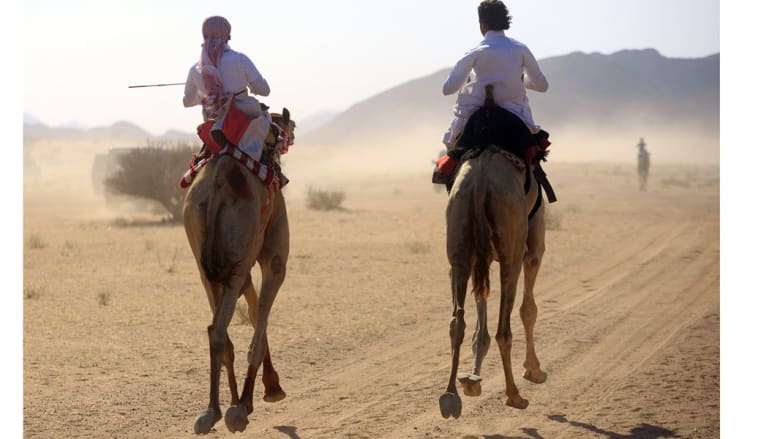 سباق الهجن.. تقليد وفرحة في العيد سباق الهجن.. تقليد وفرحة في العيد