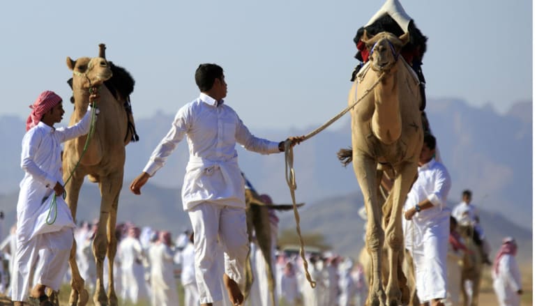سباق الهجن.. تقليد وفرحة في العيد سباق الهجن.. تقليد وفرحة في العيد