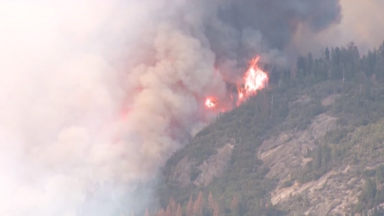 بالفيديو.. حرائق كاليفورنيا تواصل الانتشار واستنفار فرق الإطفاء
