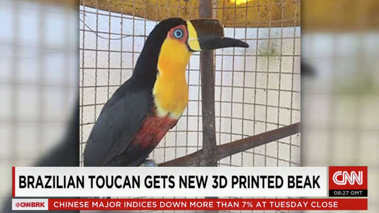 شاهد.. كيف أنقذت الطباعة ثلاثية الأبعاد حياة هذا الطائر